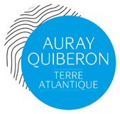 Réseau urbain Glazgo